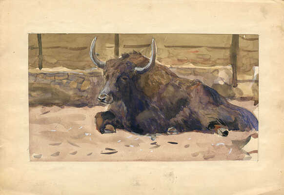 Никольский Георгий Евлампиевич. Лежащий буйвол 